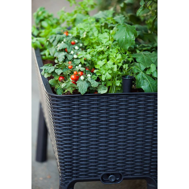 Rectangular Easy Grow Elevated Garden Bed Anthracite - Keter