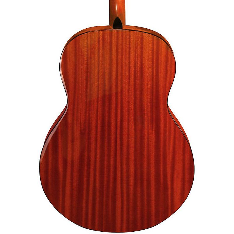 Luna Guitars Gypsy Muse Acoustic Guitar Package