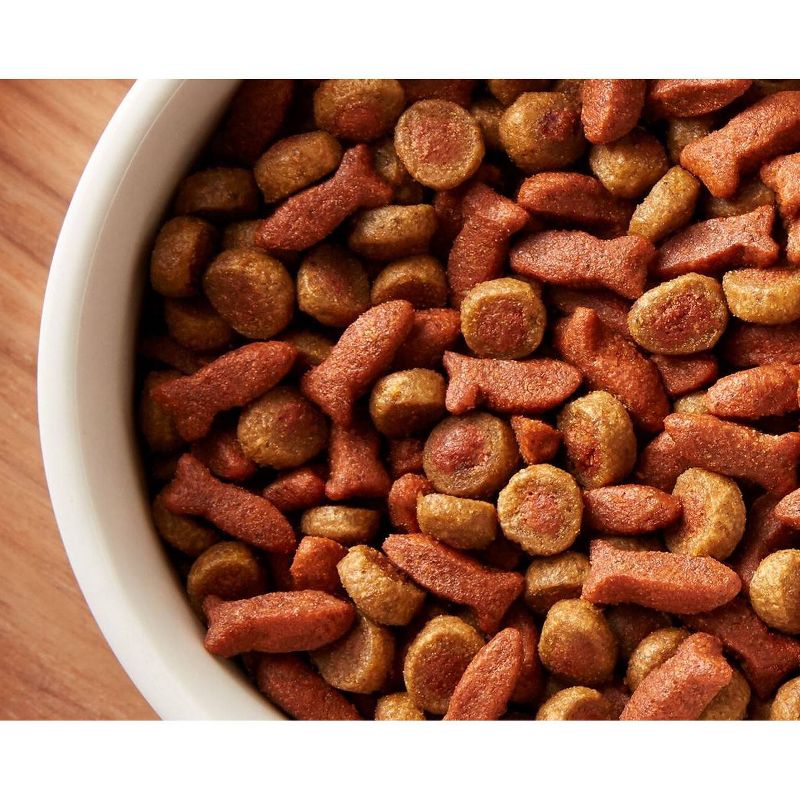 Rachael Ray Nutrish Tasty Salmon and Veggies Recipe Dry Cat Food - 2.5lbs