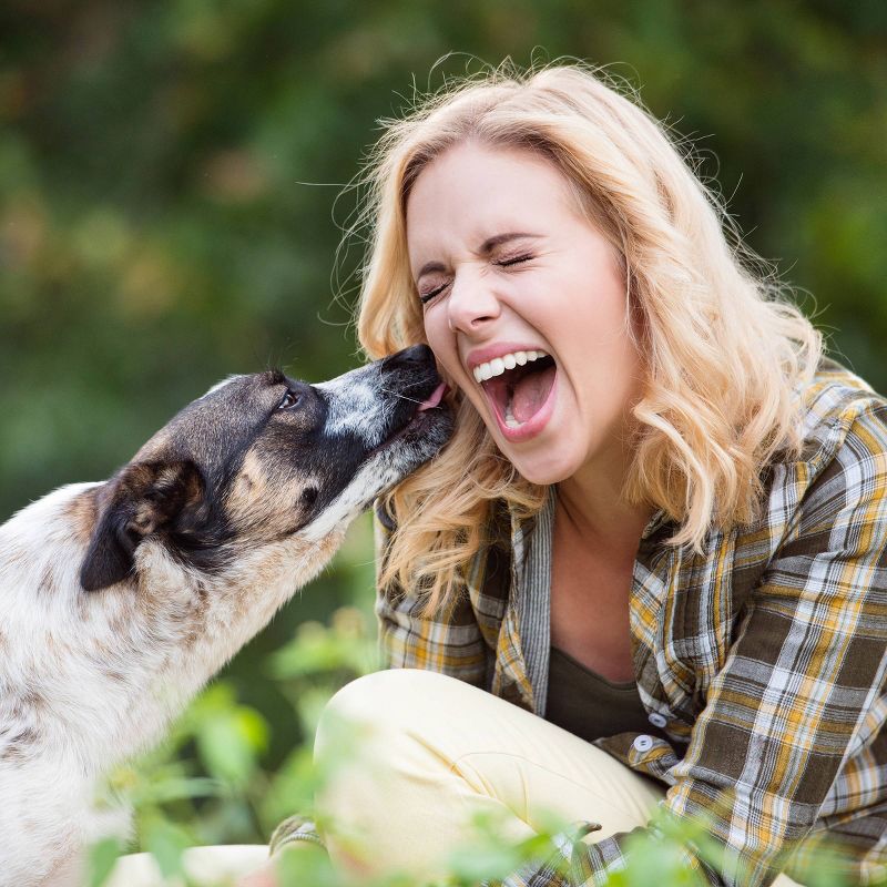 18ct Facial Tissues 'Best Day Ever' - Bullseye's Playground™
