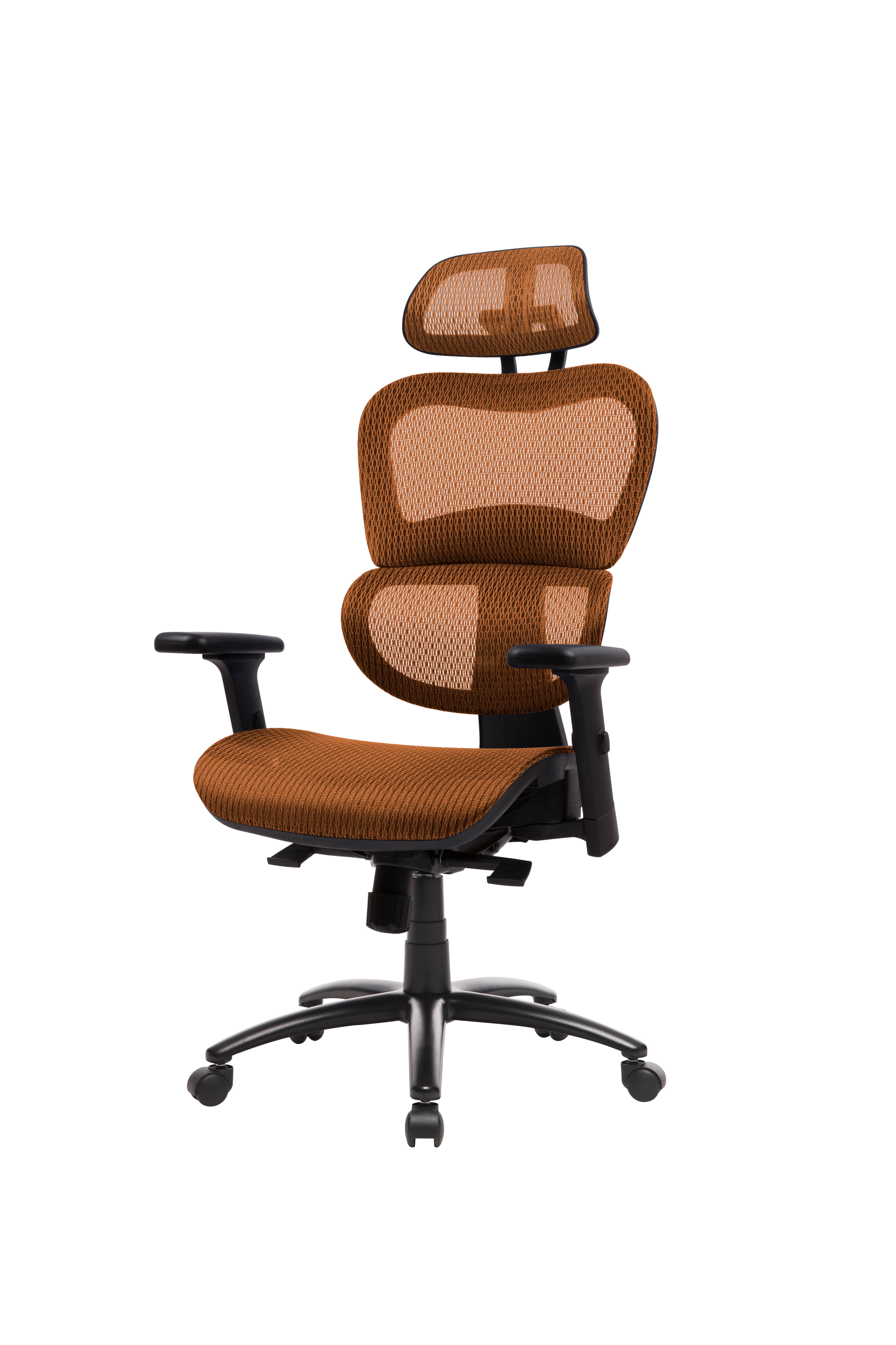 Ergonomic Office Chair Mesh Chair Computer Chair Desk Chair High Back Chair with Adjustable Headrest and Armrest