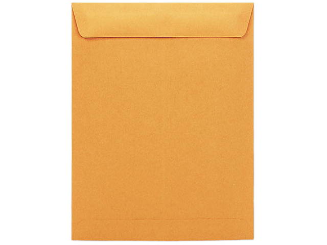 Universal Side Seam Catalog Envelope