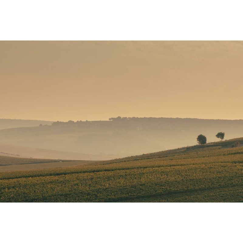 Veuve Clicquot Yellow Label Brut Champagne -1.5L Bottle