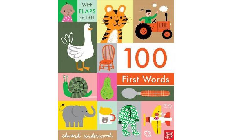 100 First Words -  BRDBK (Hardcover)