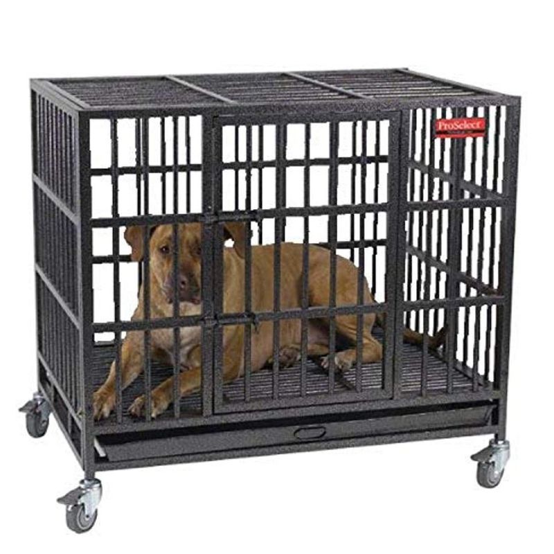 dbest products Pet Smart Cart Carrier Crate Kennel Cage Bag with Wheels and Padded Bed for Airline Airplane Travel with Cats and Dogs, Large (Black)