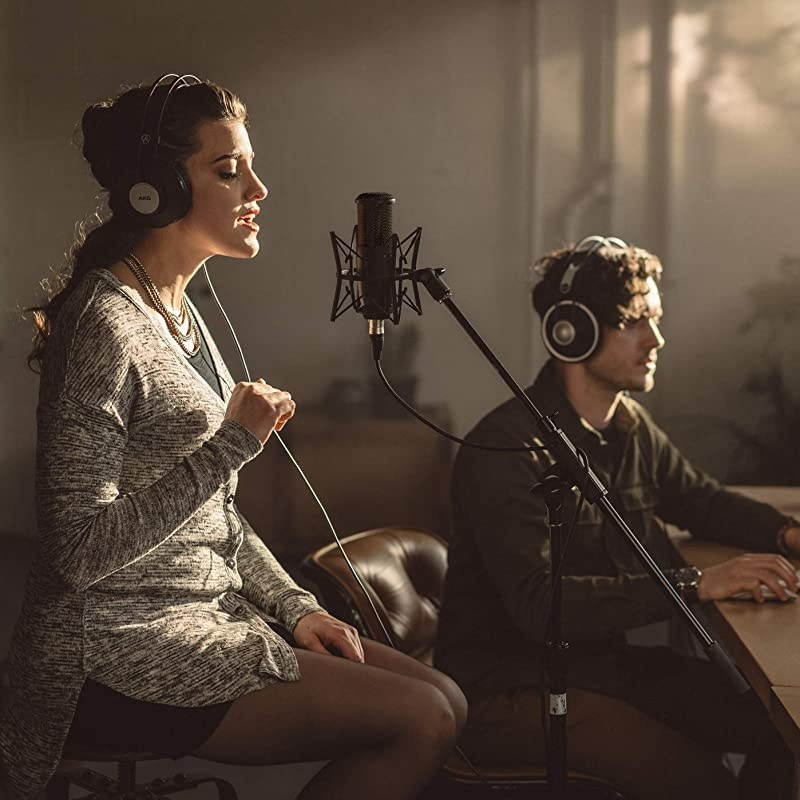 P120 HighPerformance General Purpose Recording Microphone