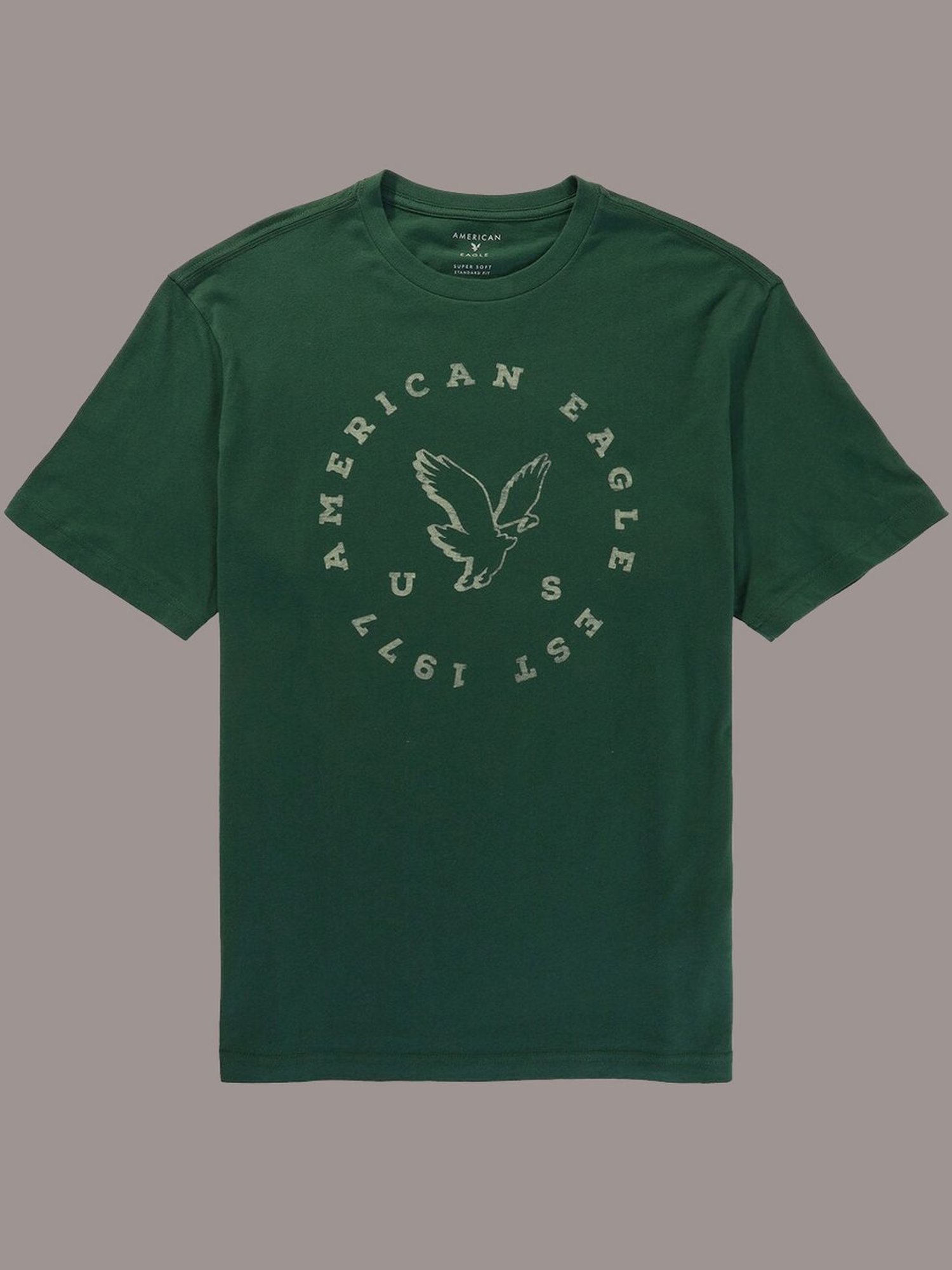 American Eagle Green Regular Fit Printed T-Shirt