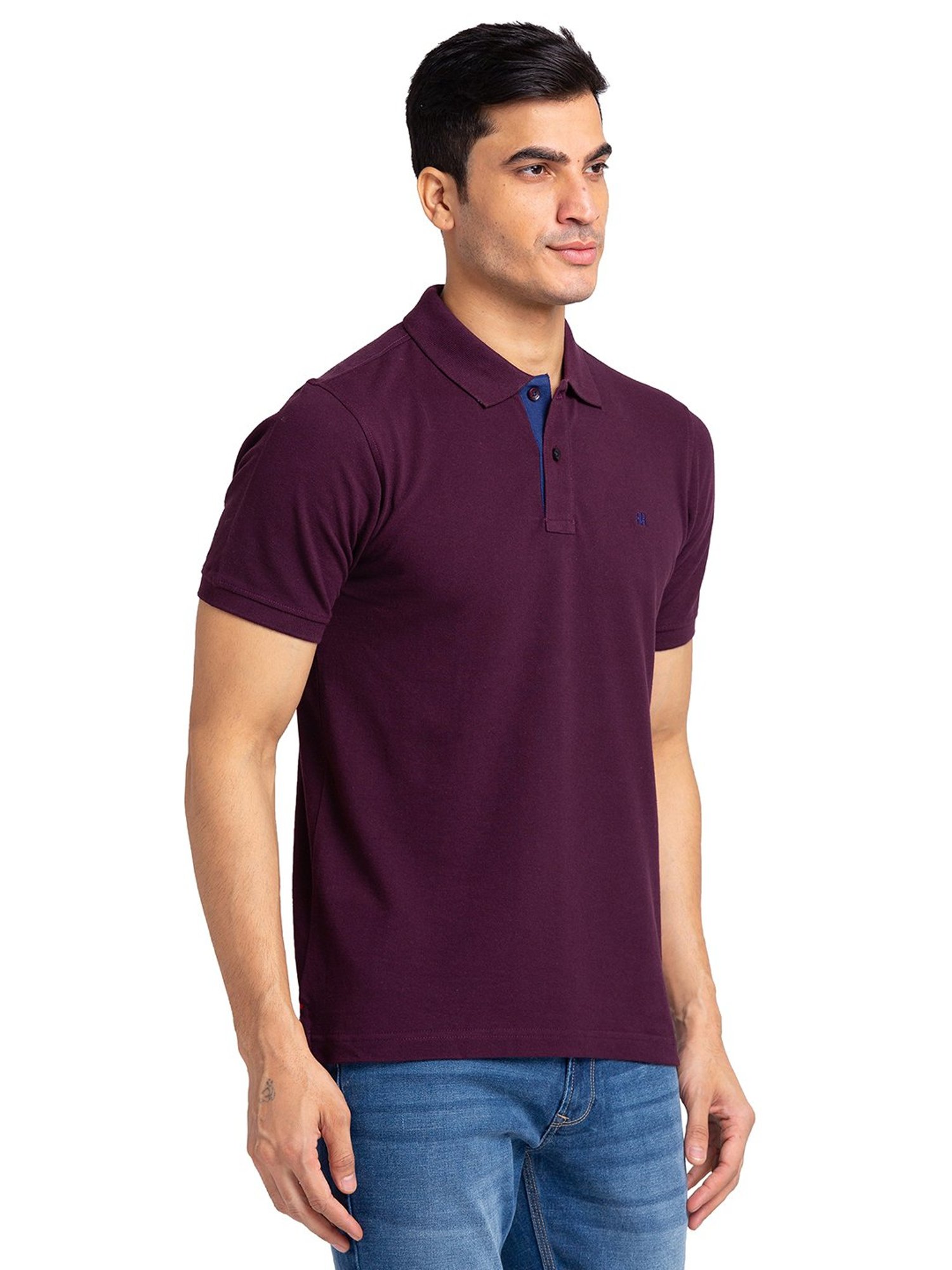 Raymond Wine Regular Fit Polo T-Shirt