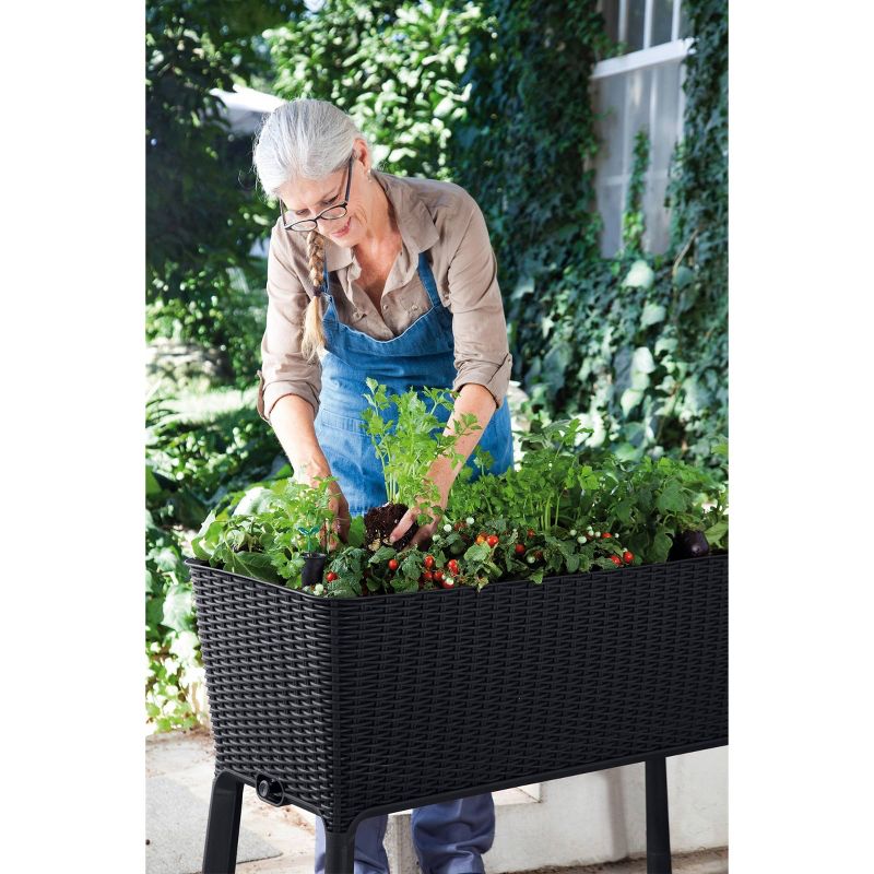 Rectangular Easy Grow Elevated Garden Bed Anthracite - Keter