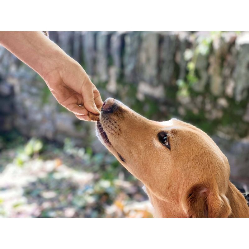 Newman's Own Hickory Smoke Plant Based Jerky Soft Chewy Dog Treats - 5oz