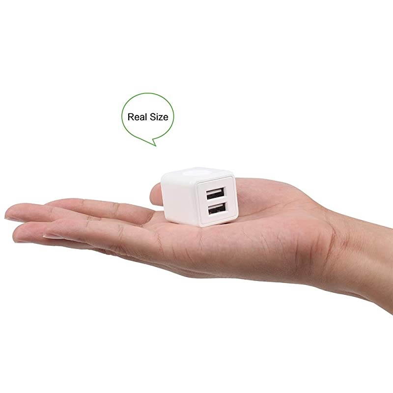 Charger 21A 12W Dual Port Portable Universal USB Charger for Apple iPhoneiPad Samsung Galaxy HTC Nexus Moto BlackBerry Bluetooth Speaker Headset amp Power Bank White 2Pack