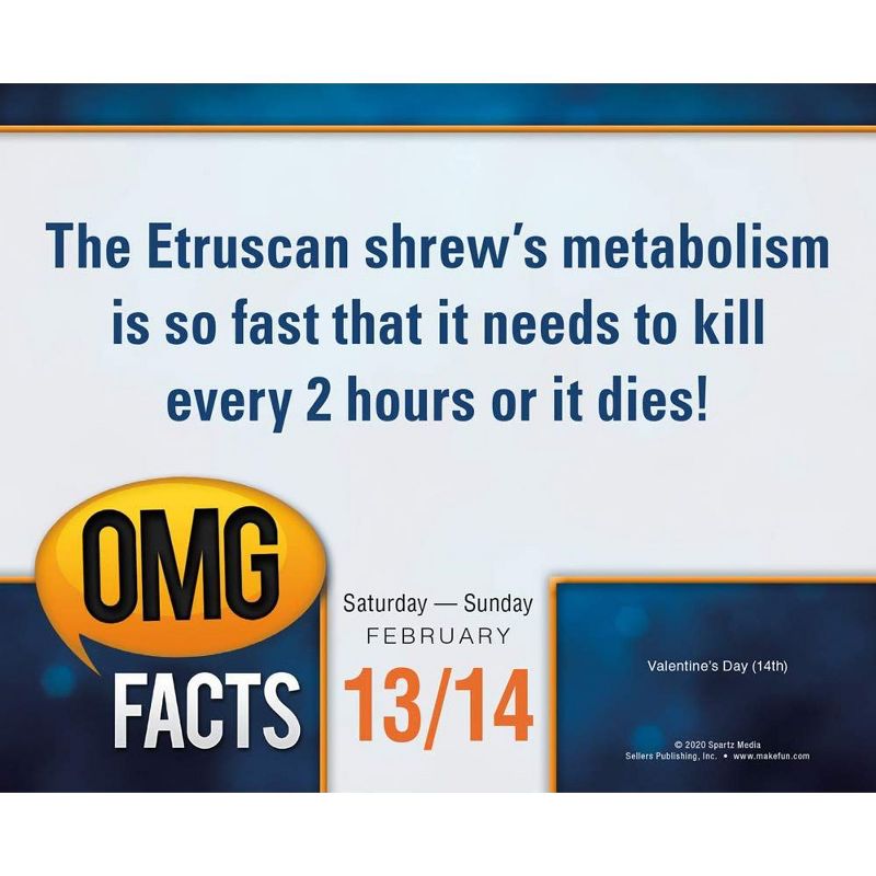 Sellers Publishing 2021 OMG Facts Boxed Daily Calendar [Calendar] Spartz Media