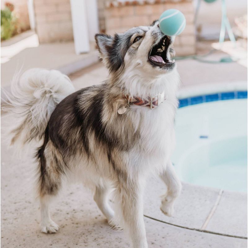 Playology Peanut Butter Scent Chew Ball Dog Toy - Blue - S