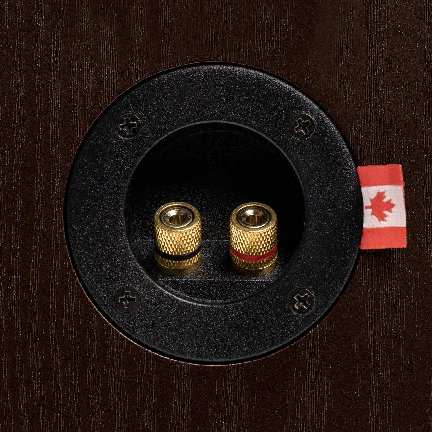 Fluance Reference High Performance 2-Way Bipolar Surround Speakers for Wide Dispersion Surround Sound in Home Theater Systems - Walnut/Pair (XL8BPW)