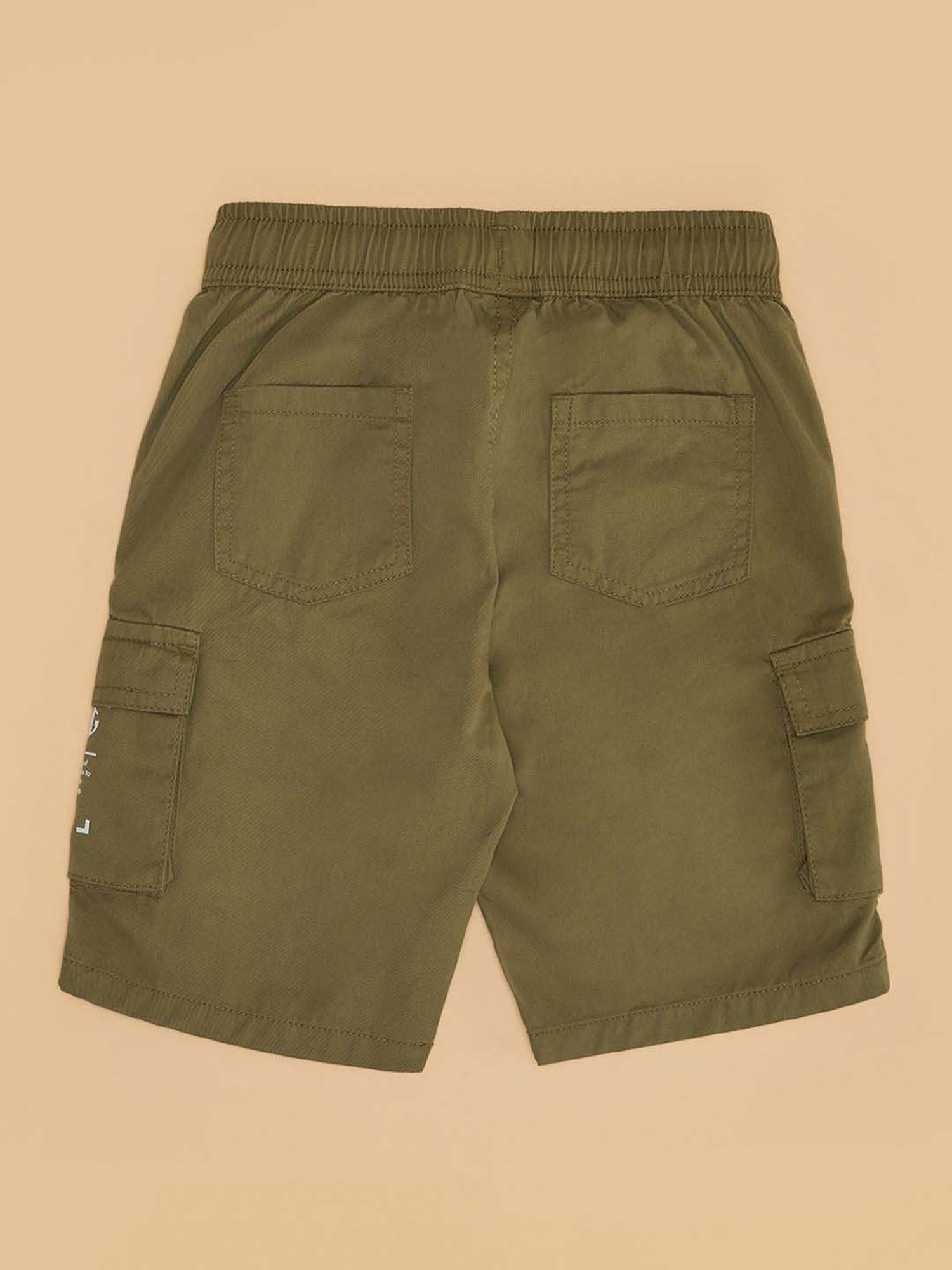 Pantaloons Junior Boys Mineral Green Cotton Solid Shorts