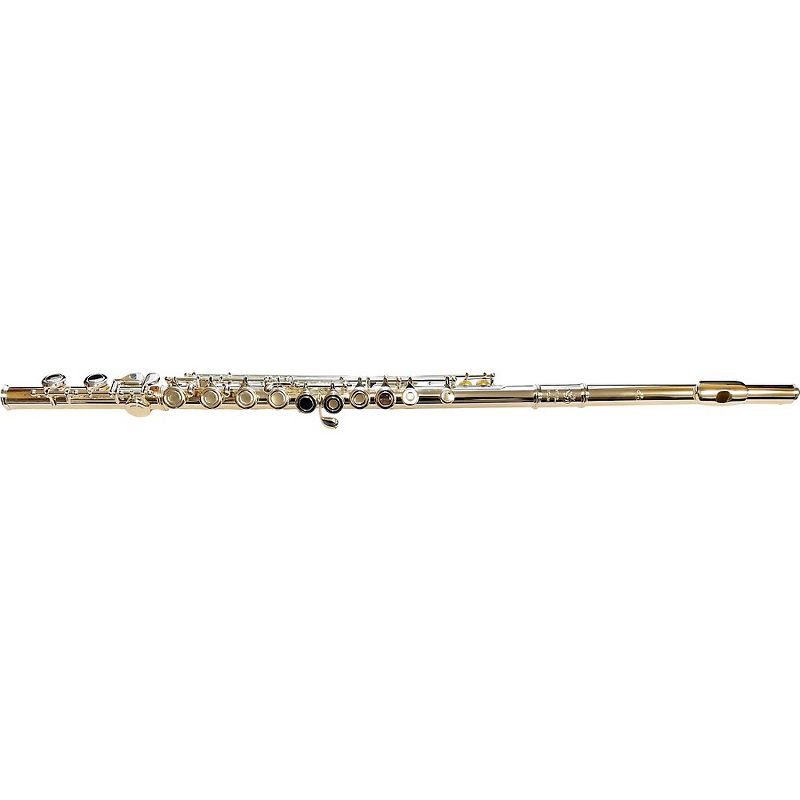 Di Zhao DZ 201 Student Flute Offset G C-Foot