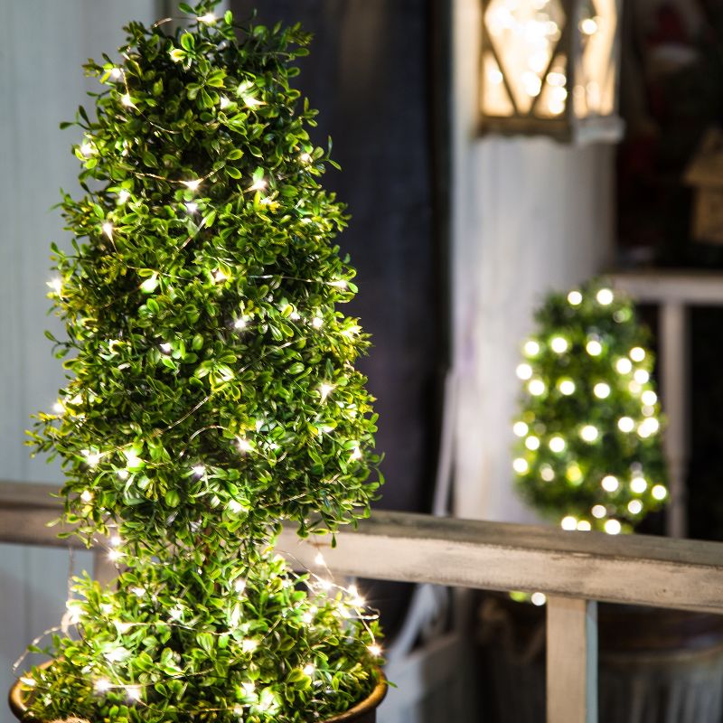 J. Hofert Co Commercial Grade Christmas Rope Light Set White Cord - Lime Green