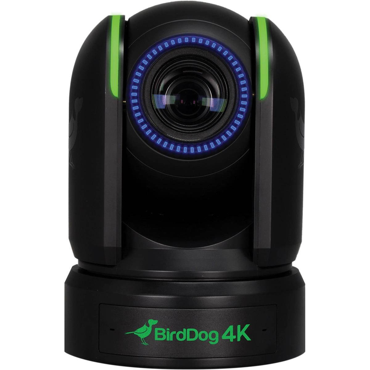 BirdDog P4K 14.2MP 4K Full NDI PTZ Camera with 1" Sony Sensor, Black #BDP4K