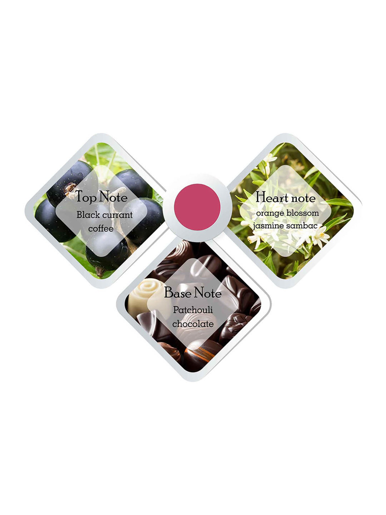 The Seaweed Bath Co. Citrus Vanilla Body Wash - 12oz