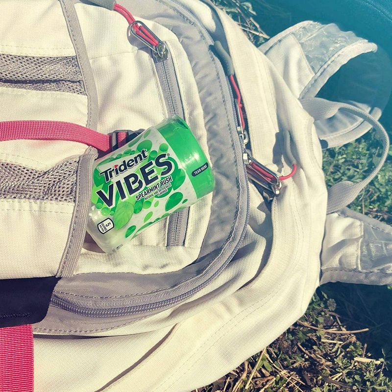 Trident Vibes Spearmint Rush Chewing Gum - 40ct