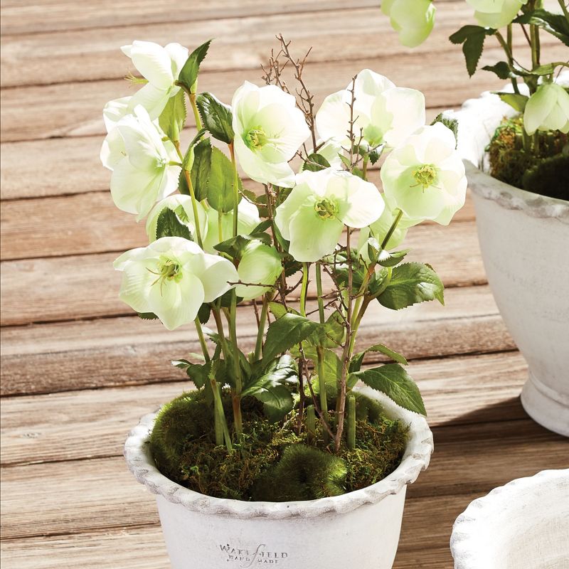 Plum & Post Hellebores Drop-In Faux (Fake) 12.5"