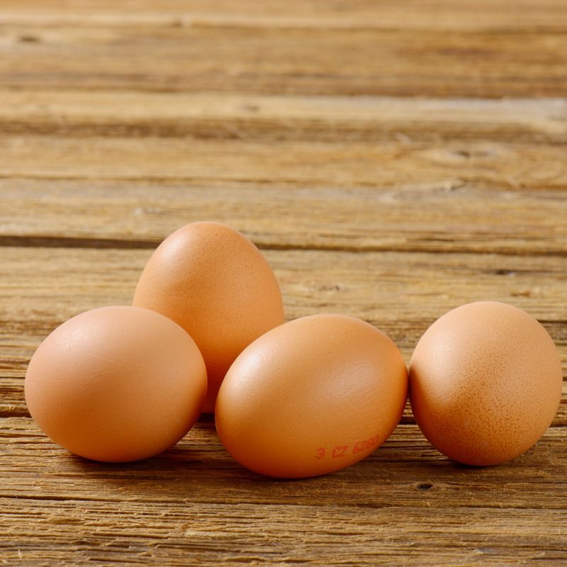 Augason Farms Dried Whole Egg Powder Emergency Food Supply 4-Gallon Pail 383 Servings