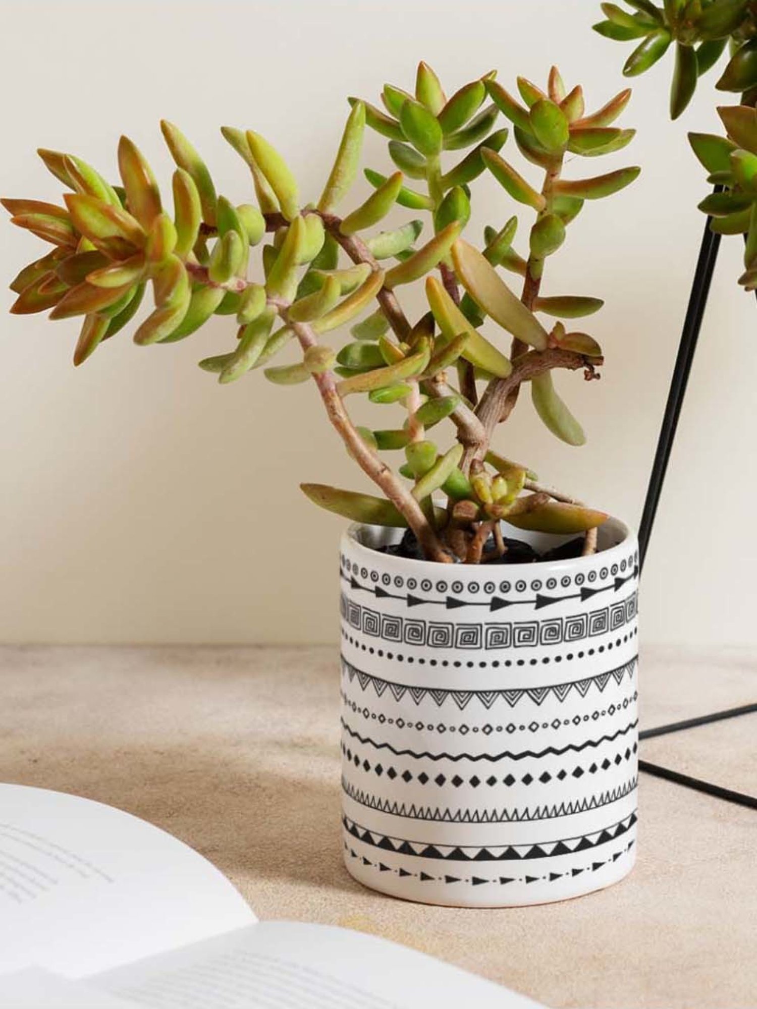 Gathari White & Black Ceramic Desk Planter