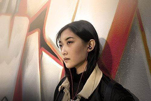 SoundMAGIC E10 Noise Isolating In-Ear Earphones (Gunmetal)