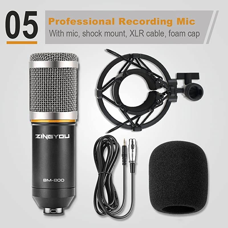 BM-800 Condenser Microphone, Cardioid Studio Recording Microphone with Shock Mount, XLR Cable