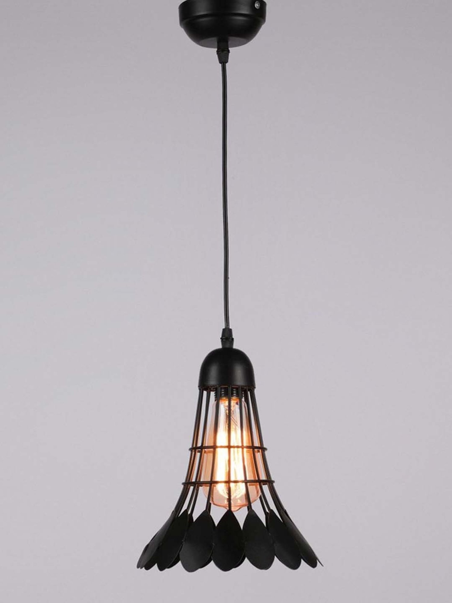 DecorativeRay Black Hanging Light - Set of 1