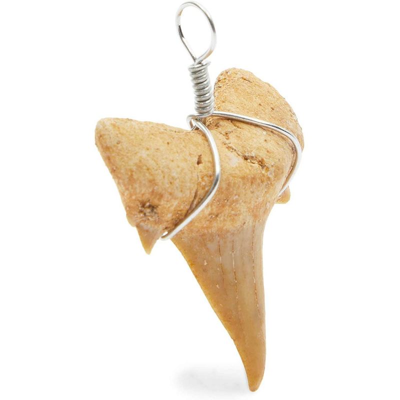 Zodaca 12 Pack Shark Fossil Tooth Pendant for Rustic Necklace, 1" x 0.8"