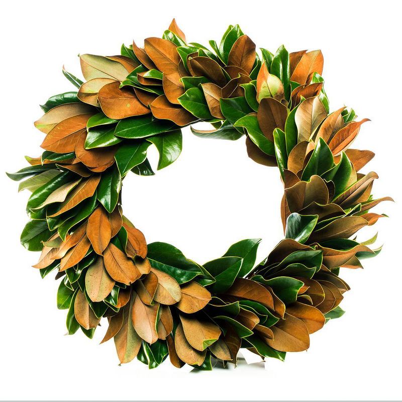 24" Classic Magnolia Wreath - Van Zyverden