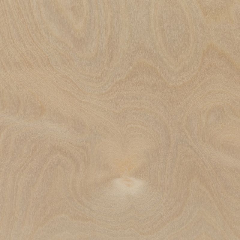 Emma and Oliver Wood 5 Section School Coat Locker with Bench, Cubbies and Storage Organizer Hook