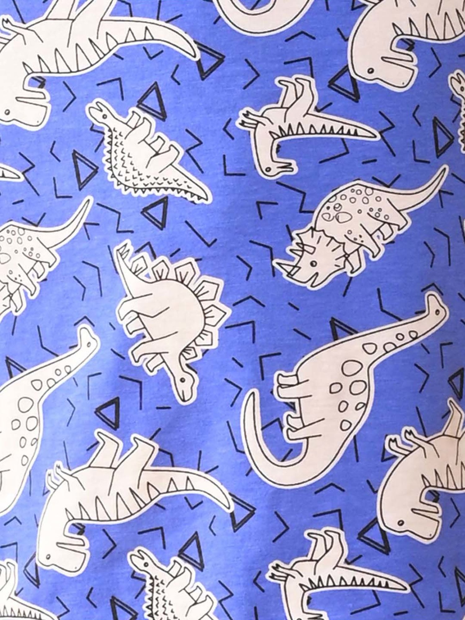 Anthrilo Kids Blue Cotton Printed T-Shirt & Short