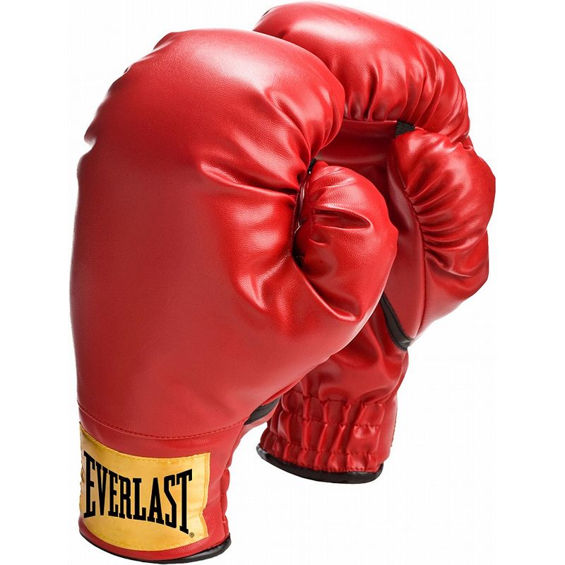 Everlast Youth Boxing Gloves