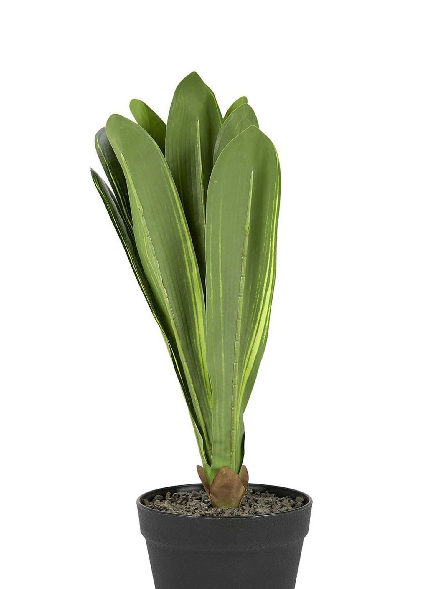 Mason Home Gold Anar Vase - Small