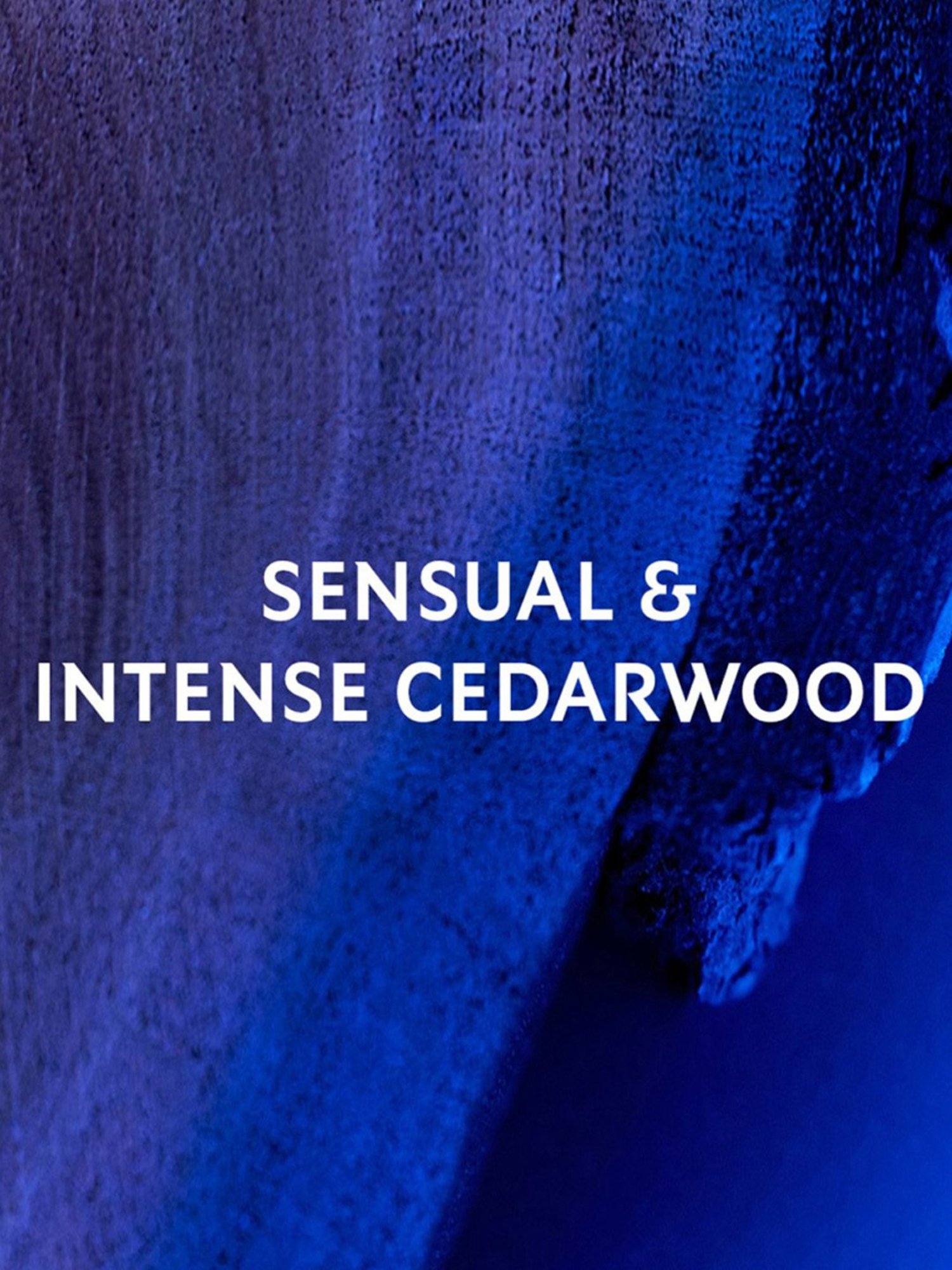 Yves Saint Laurent Y Le Parfum - 60 ml