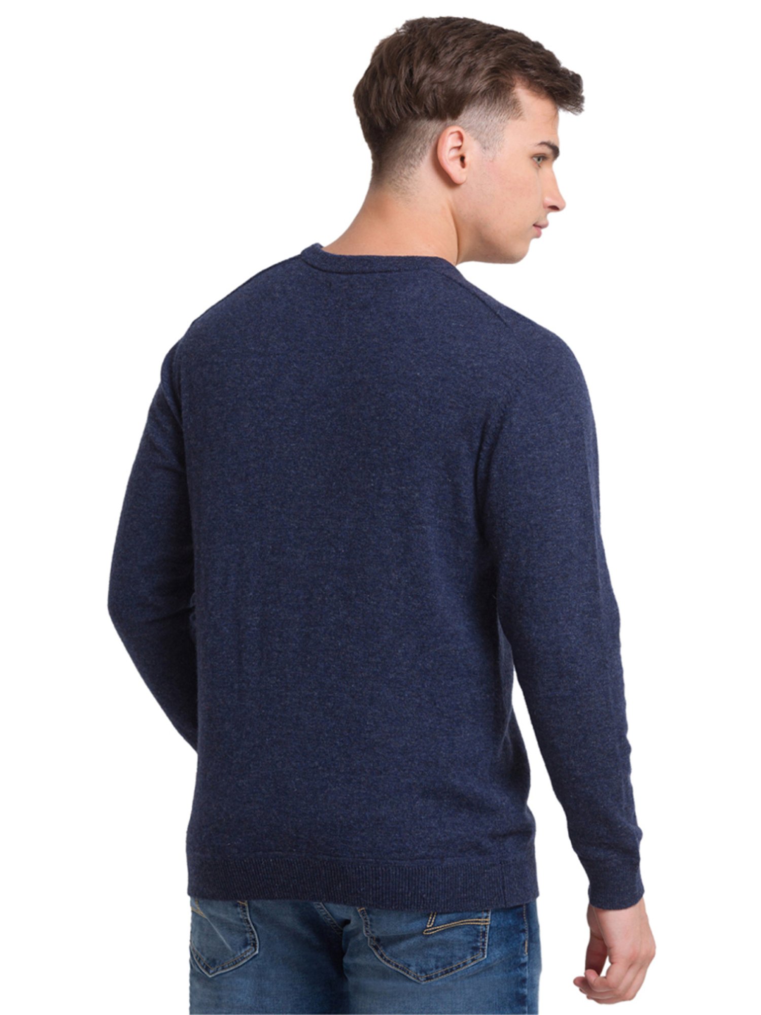 ColorPlus Blue Tailored Fit Sweater