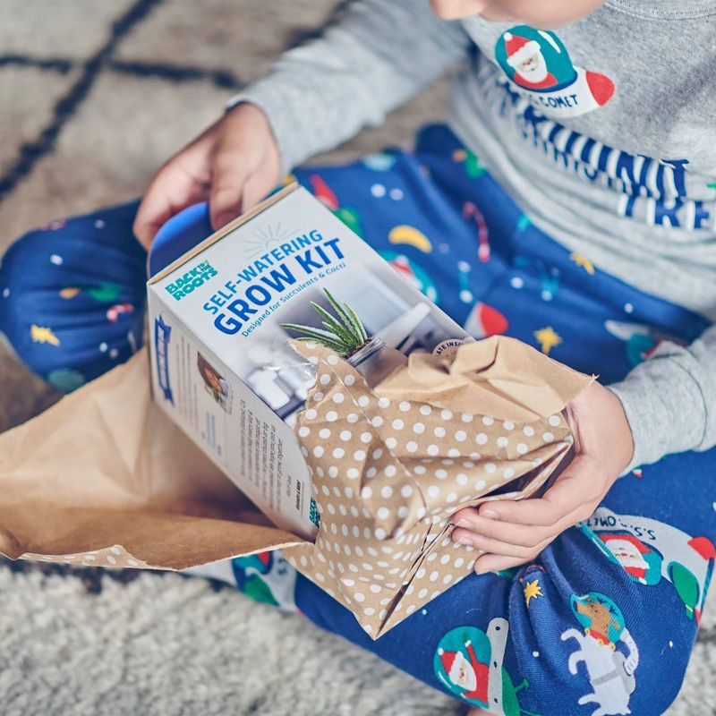 Back to the Roots Hydroponic Succulent & Cactus Grow Kit