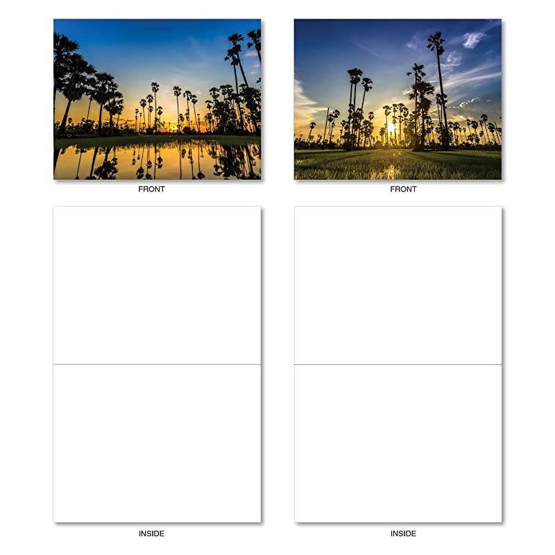 Note Cards wEnvelopes Assorted Palm Beaches Blank Greeting Cards Perfect AllOccasion Cards for Birthday Wedding Thank You Stationery Notecards 4 x 512 inch M6457OCB