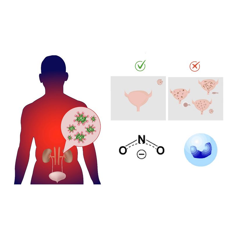 easy@Home Urinary Tract Infection Test Strips - 10ct