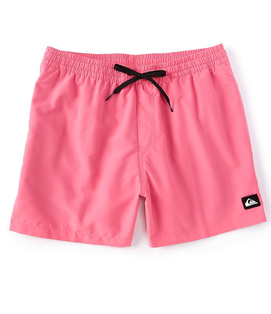 Quiksilver Everyday 15#double; Outseam Volley Shorts