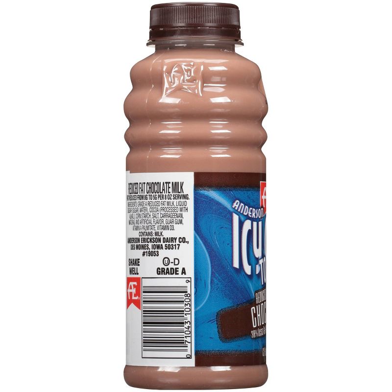 Anderson Erickson Reduced Fat Chocolate Milk - 12 fl oz