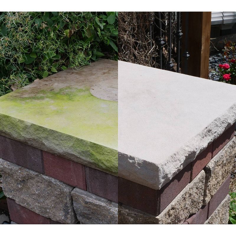 BISSELL 22 floz Oxy Stain Destroyer Pet For Carpet and Upholstery