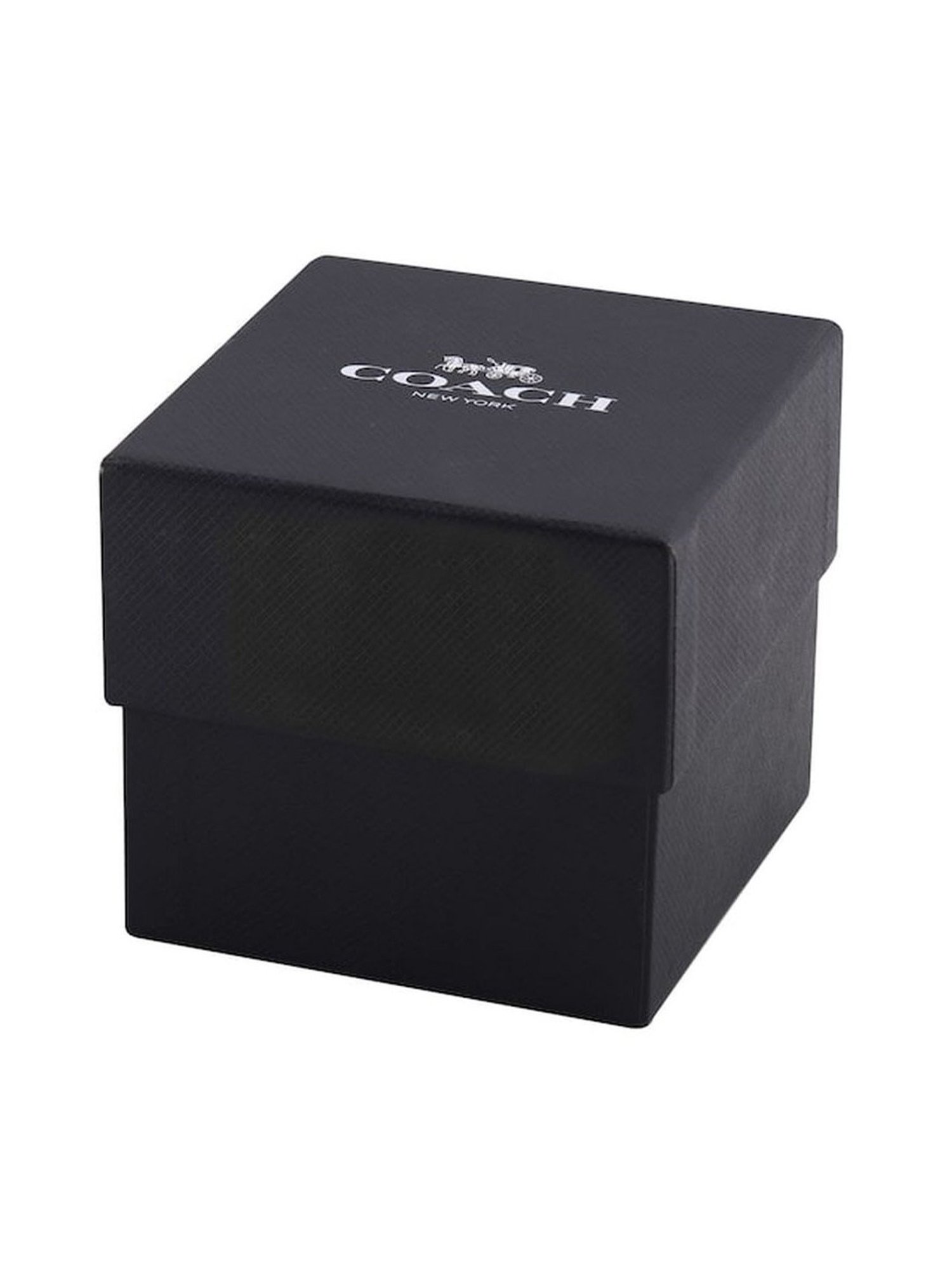 Coach NECO14503124W Perry Analog Watch for Women