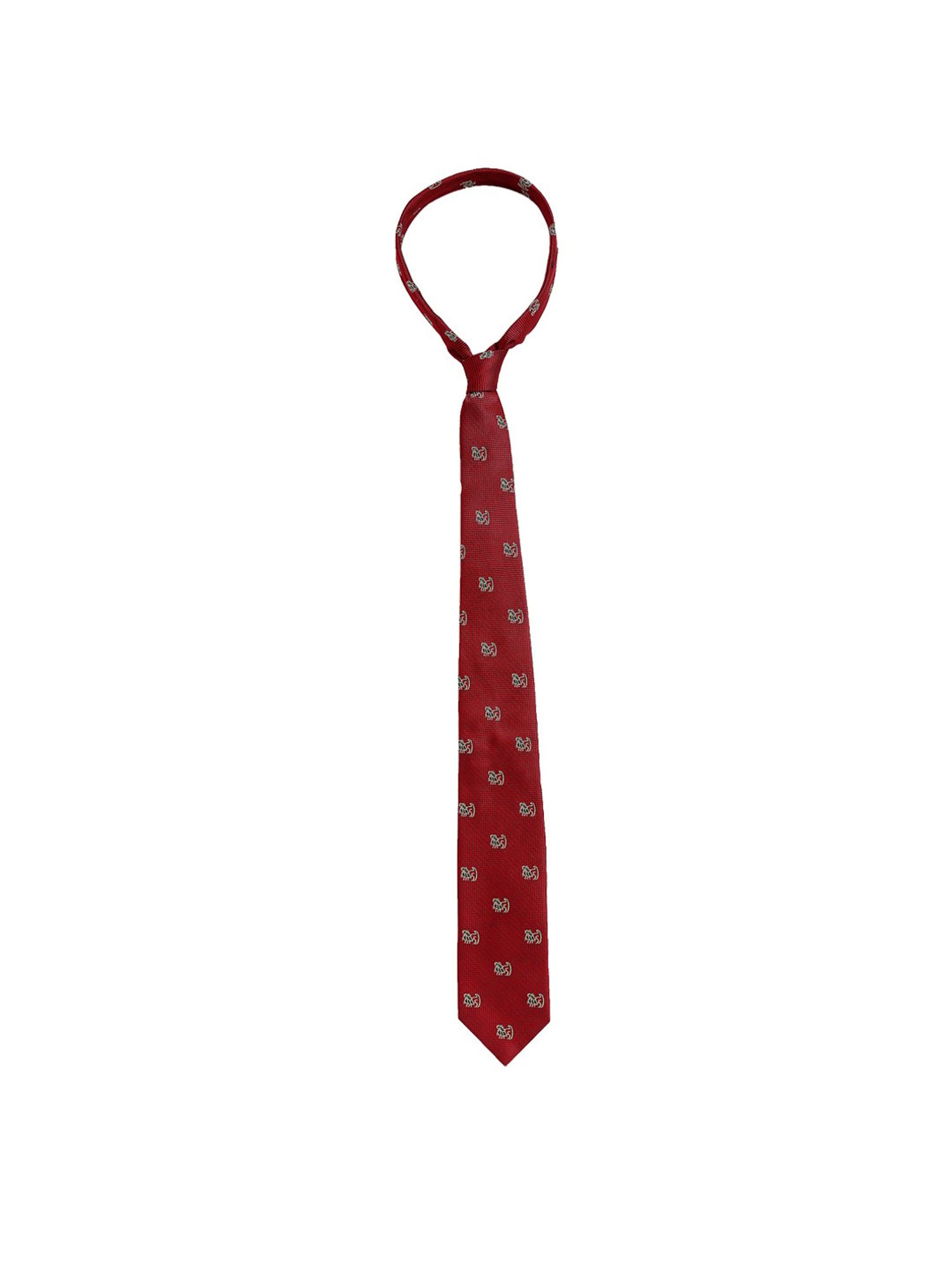 Alvaro Castagnino Red Woven Tie