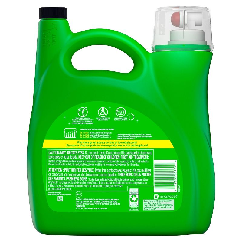 Gain Blissful Breeze Liquid Laundry Detergent - 150 fl oz