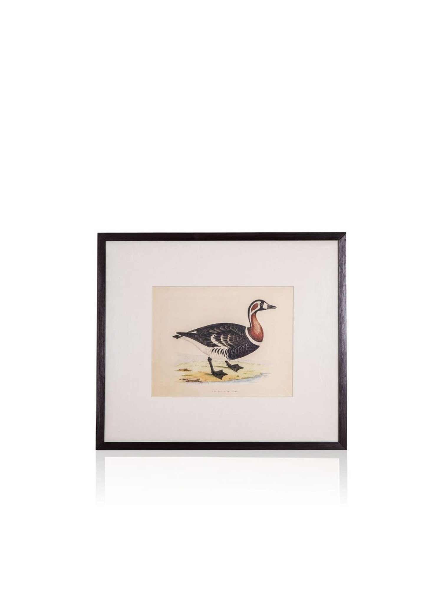 Home4U Cfo140068 Multicolor Ceramic Wall Art