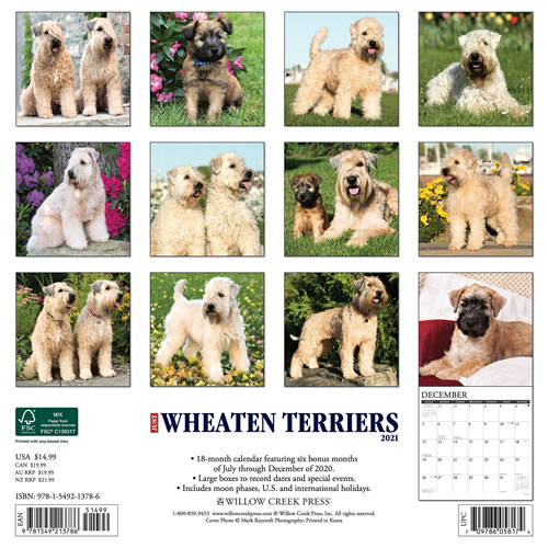 2021 Wheaten Terriers Wall