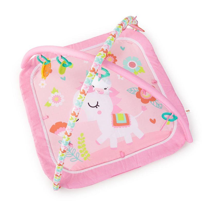 Bright Starts Daydream Blooms Activity Gym